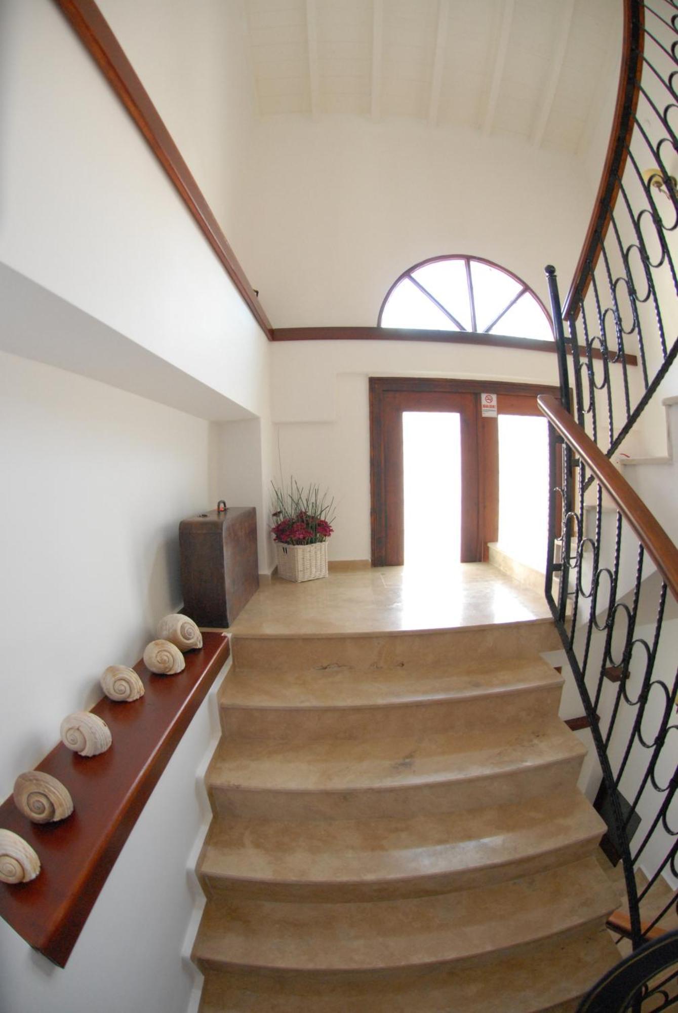 Aliye Hanim Hotel Ayvalı Extérieur photo